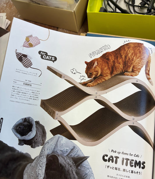 「FUDGE」にてキャットセラーが紹介されました