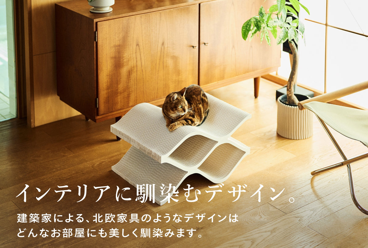 Cat Cellar mini
