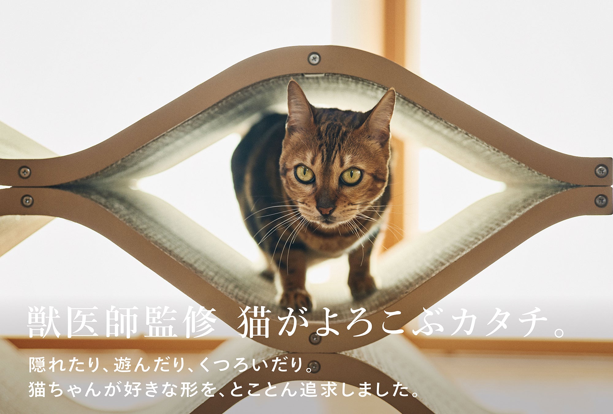 250326__250326_fn_new_16.jpg?v
