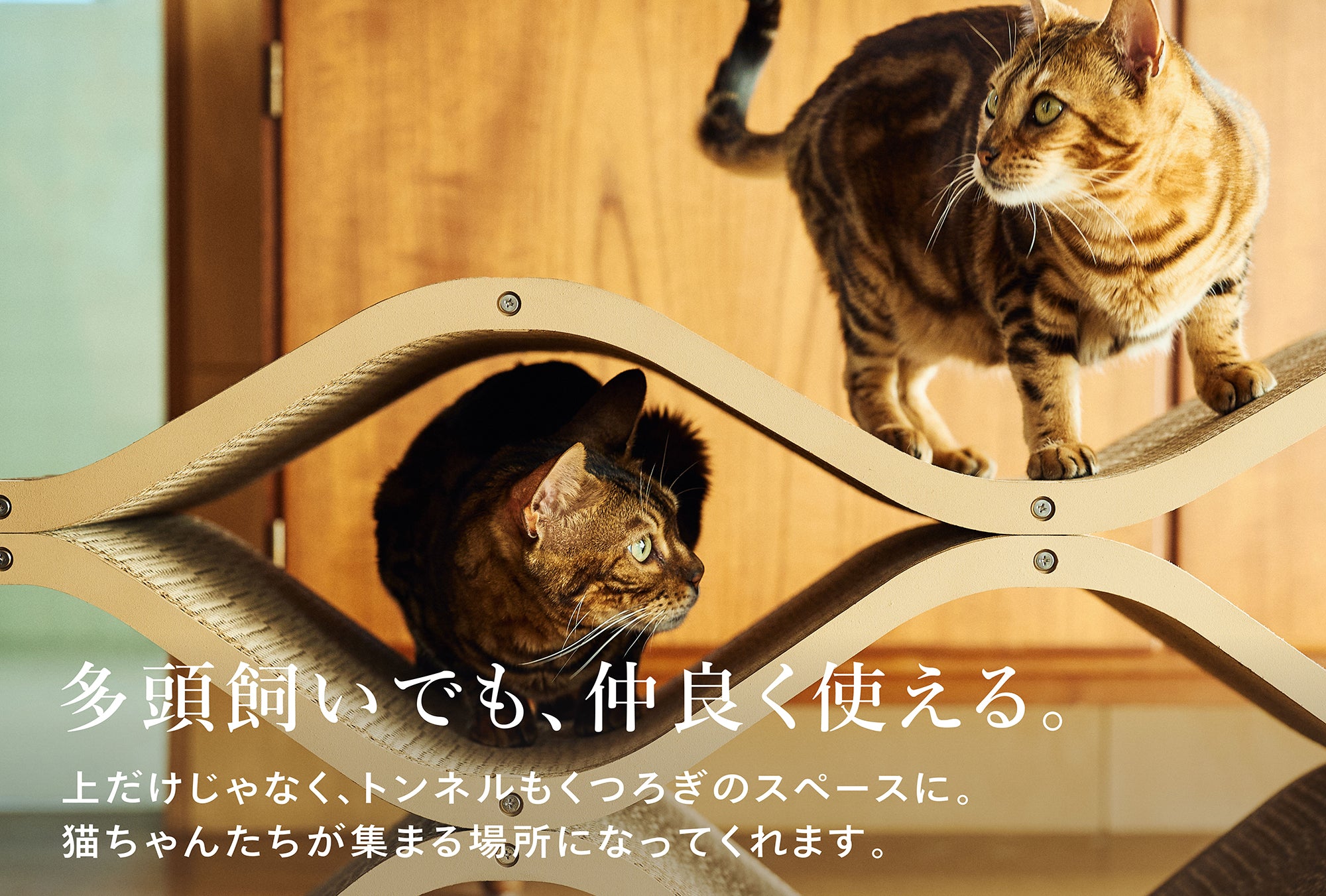 Cat Cellar 2個セット｜10%OFFの段ボール爪とぎ – furnya(ファーニャ)