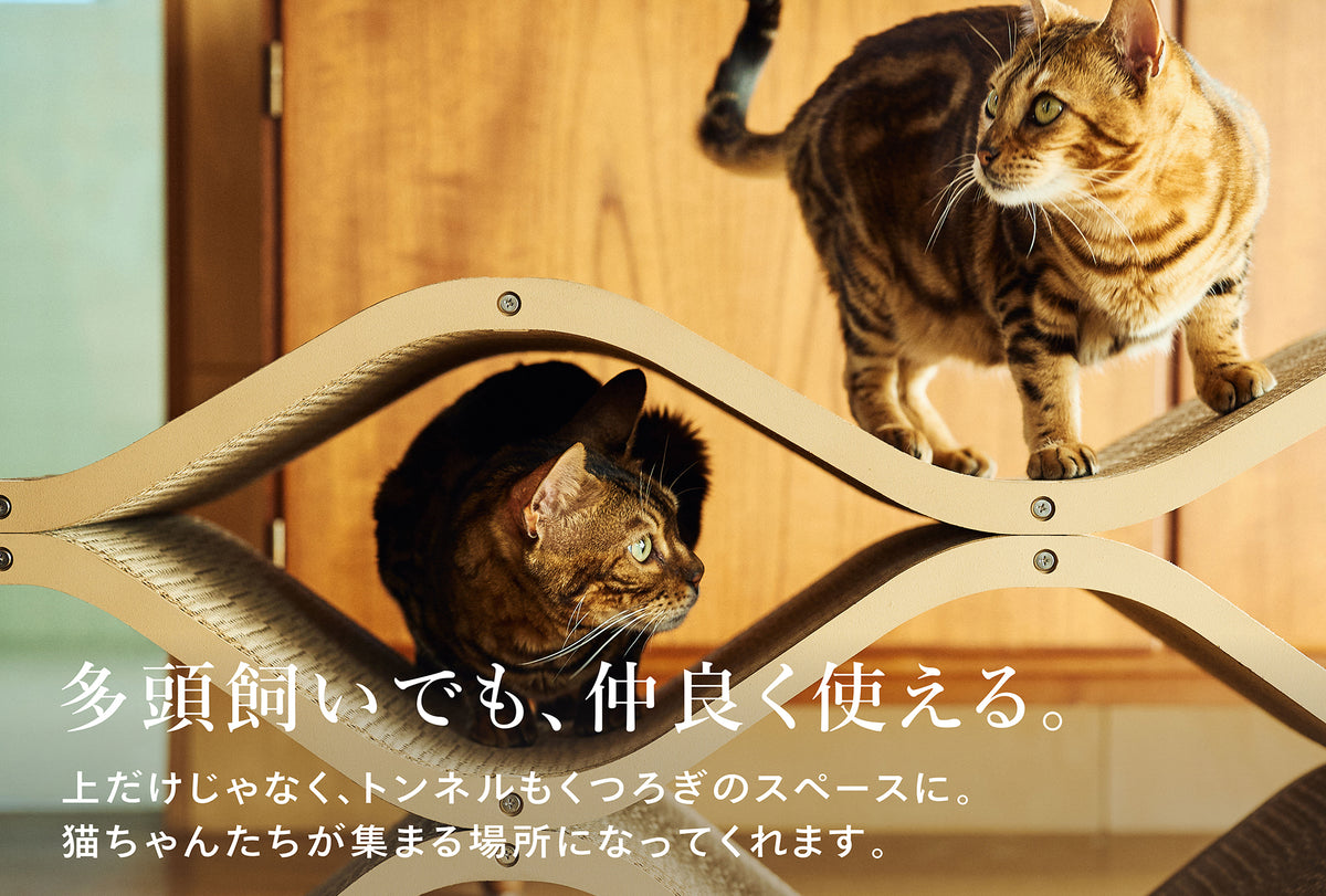 description of Cat Cellar — Perfect for multi-cat households and built for durability.
Not just the top—the tunnel also serves as a cozy spot. It’ll become a favorite gathering place for your cats.
