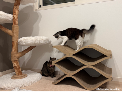Cat Cellar HIGH