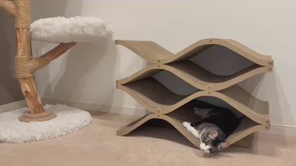 Cat Cellar HIGH